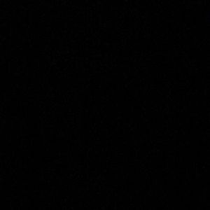 Meet your Posher, Latoya